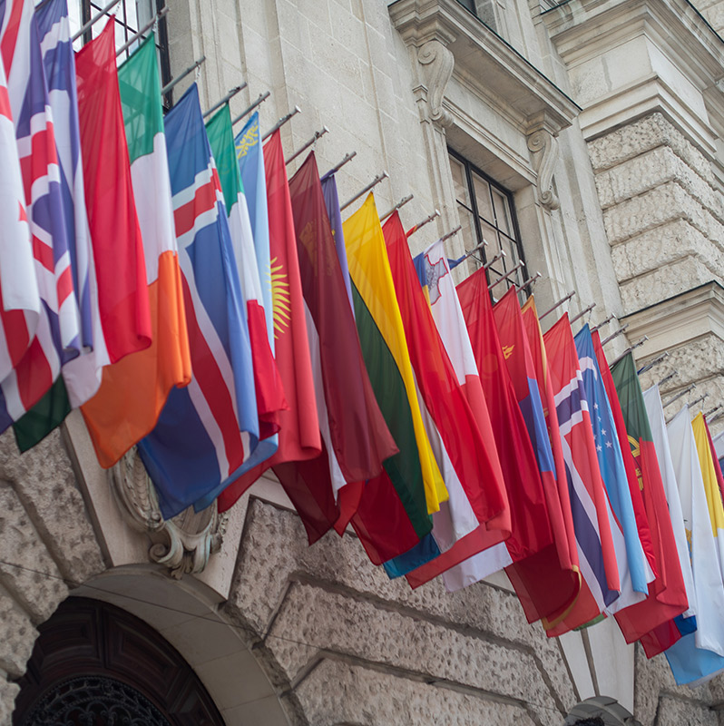 EMA1-flags